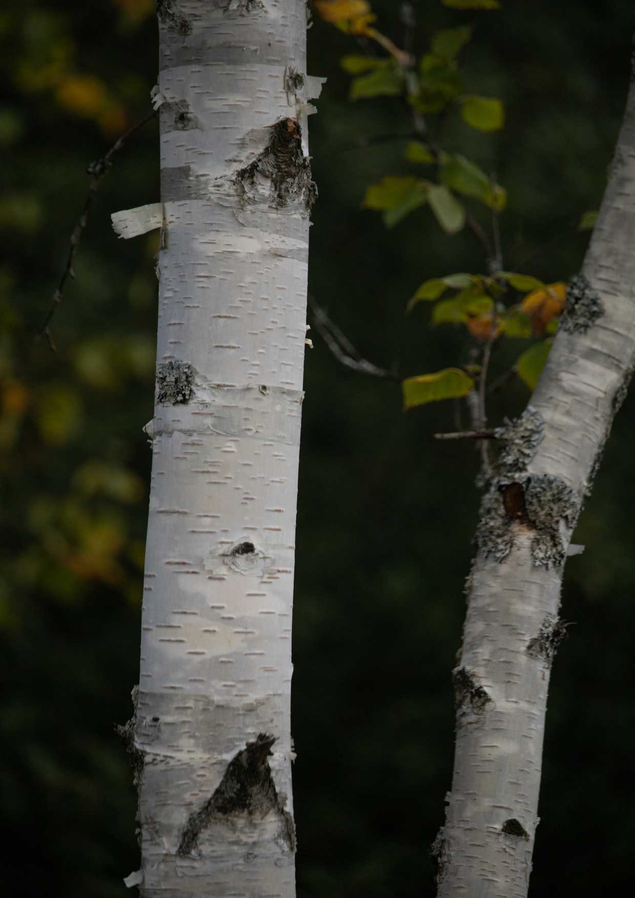 2023 Photo 22